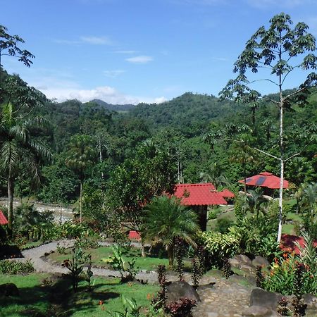 Pacuare River Lodge Bajo Tigre Ngoại thất bức ảnh