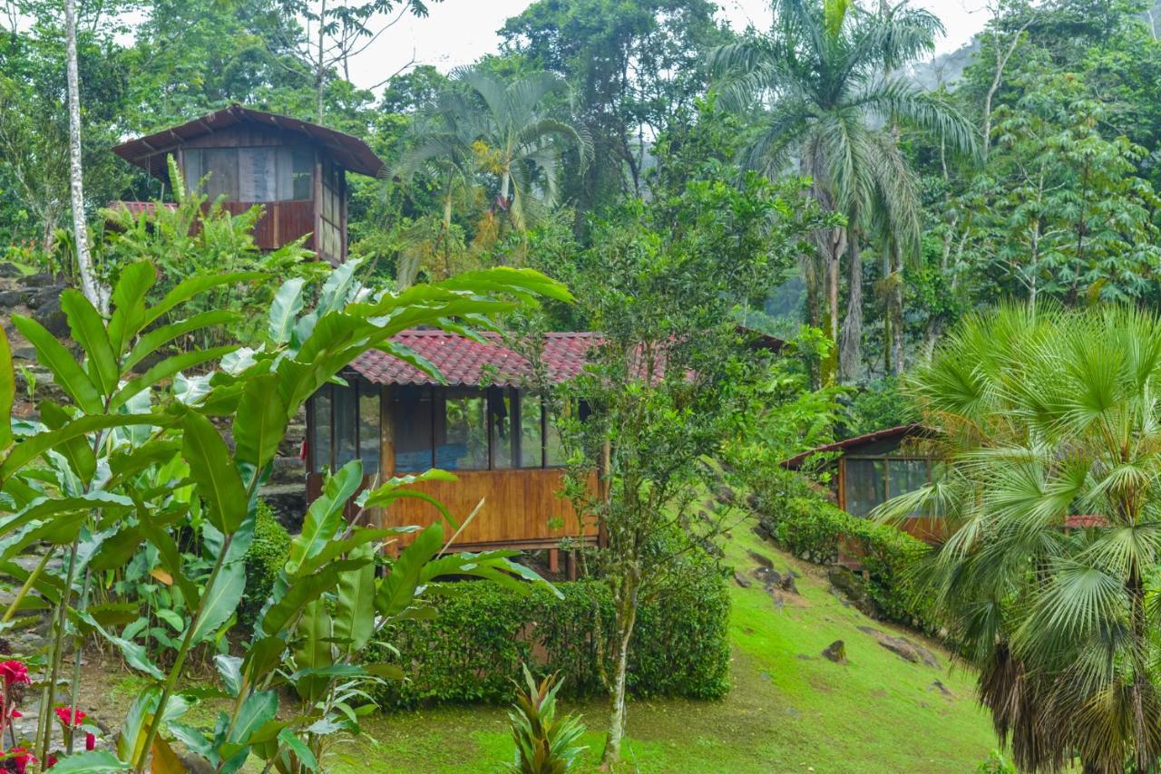 Pacuare River Lodge Bajo Tigre Ngoại thất bức ảnh