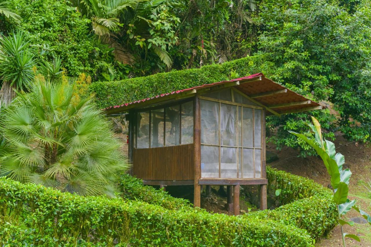 Pacuare River Lodge Bajo Tigre Ngoại thất bức ảnh