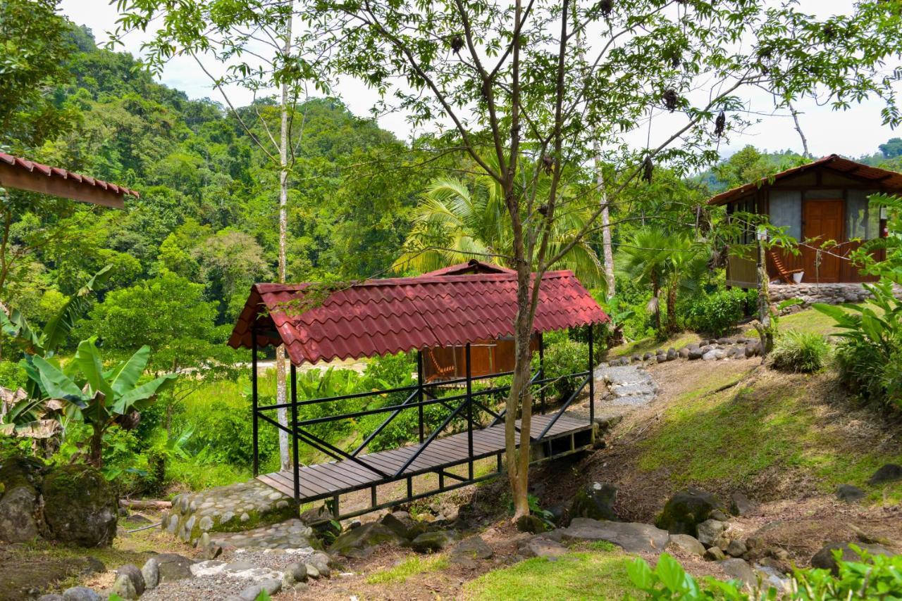 Pacuare River Lodge Bajo Tigre Ngoại thất bức ảnh