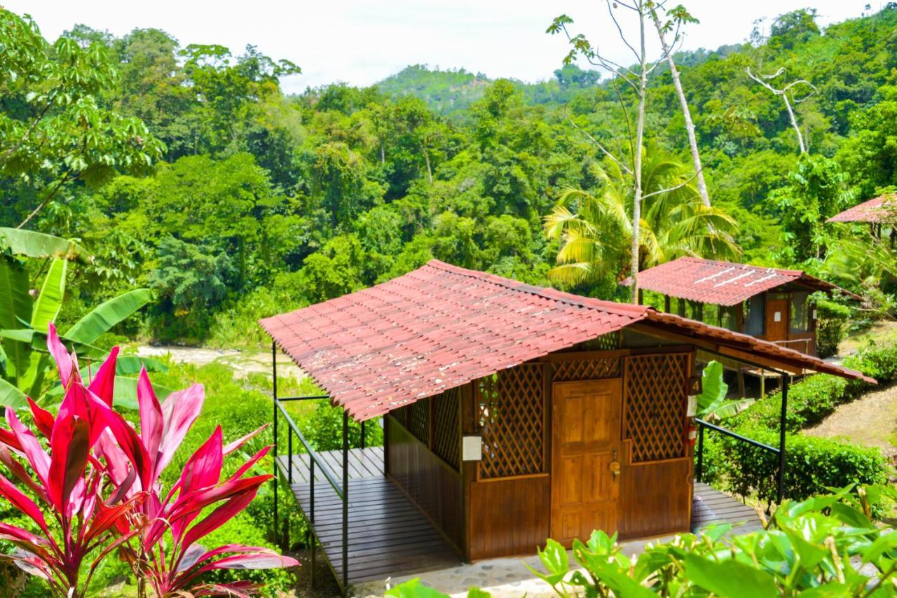 Pacuare River Lodge Bajo Tigre Ngoại thất bức ảnh