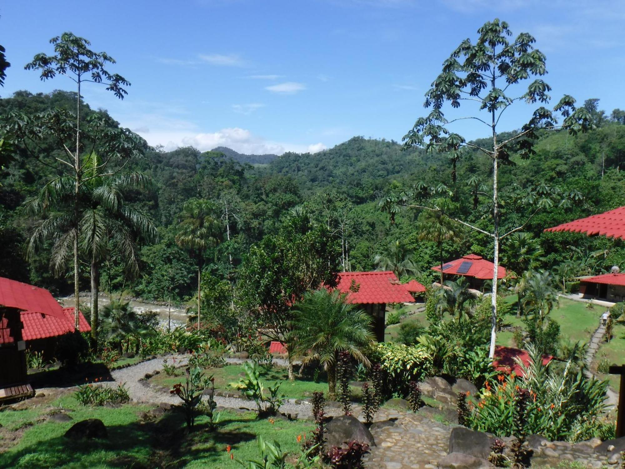 Pacuare River Lodge Bajo Tigre Ngoại thất bức ảnh