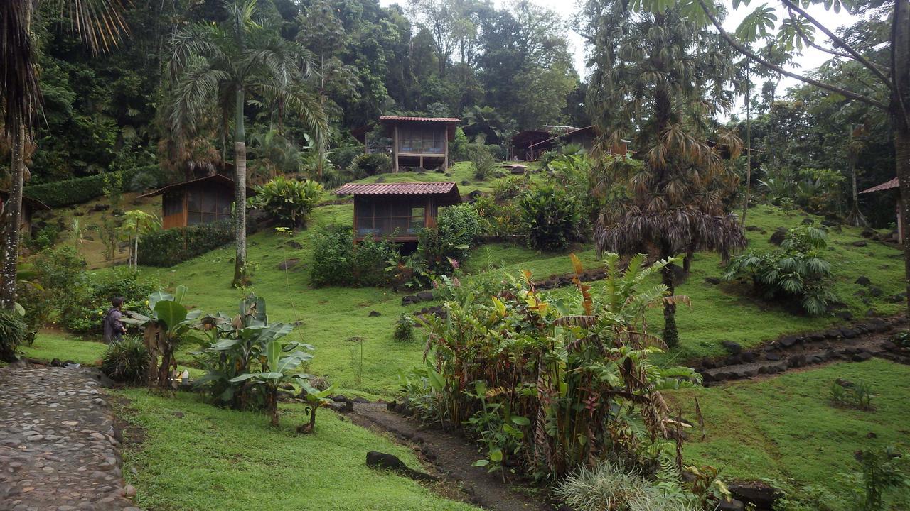 Pacuare River Lodge Bajo Tigre Ngoại thất bức ảnh