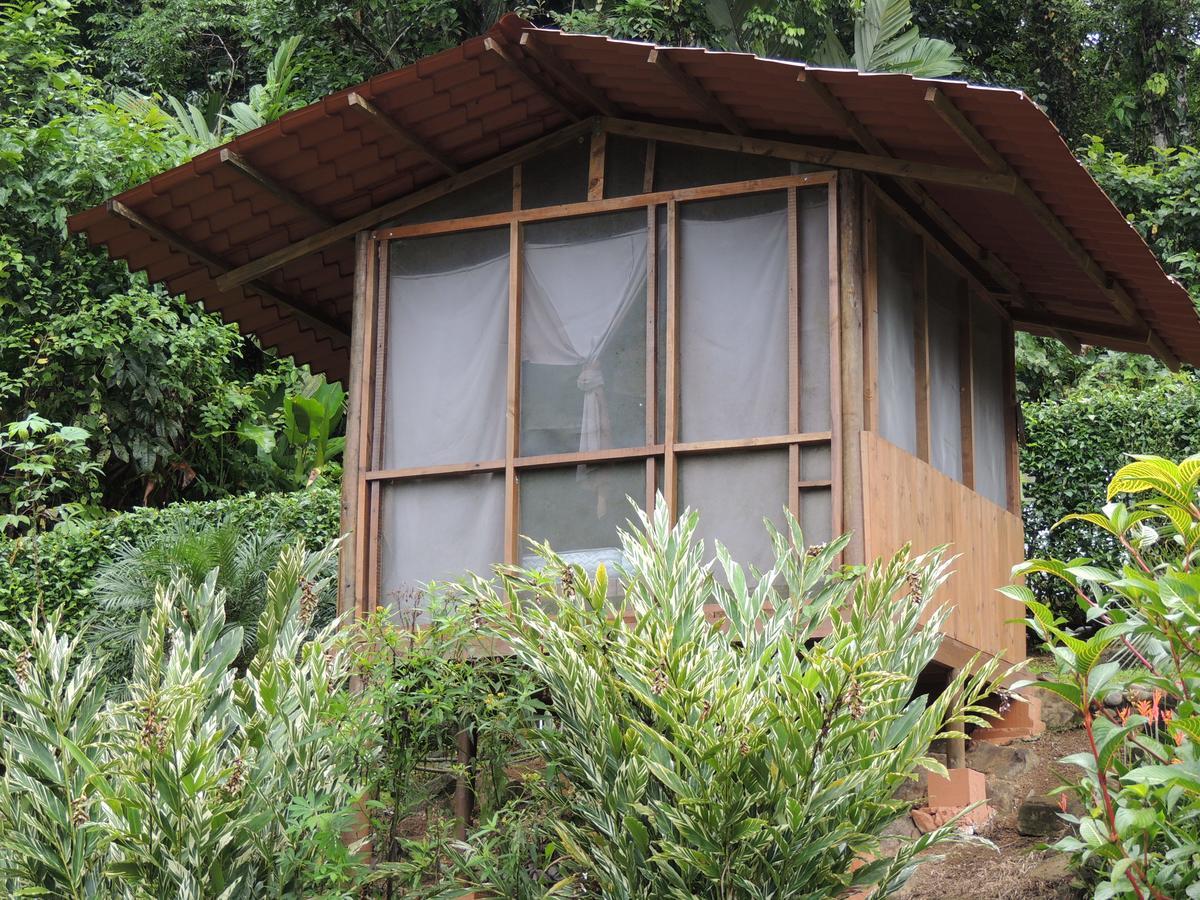 Pacuare River Lodge Bajo Tigre Ngoại thất bức ảnh