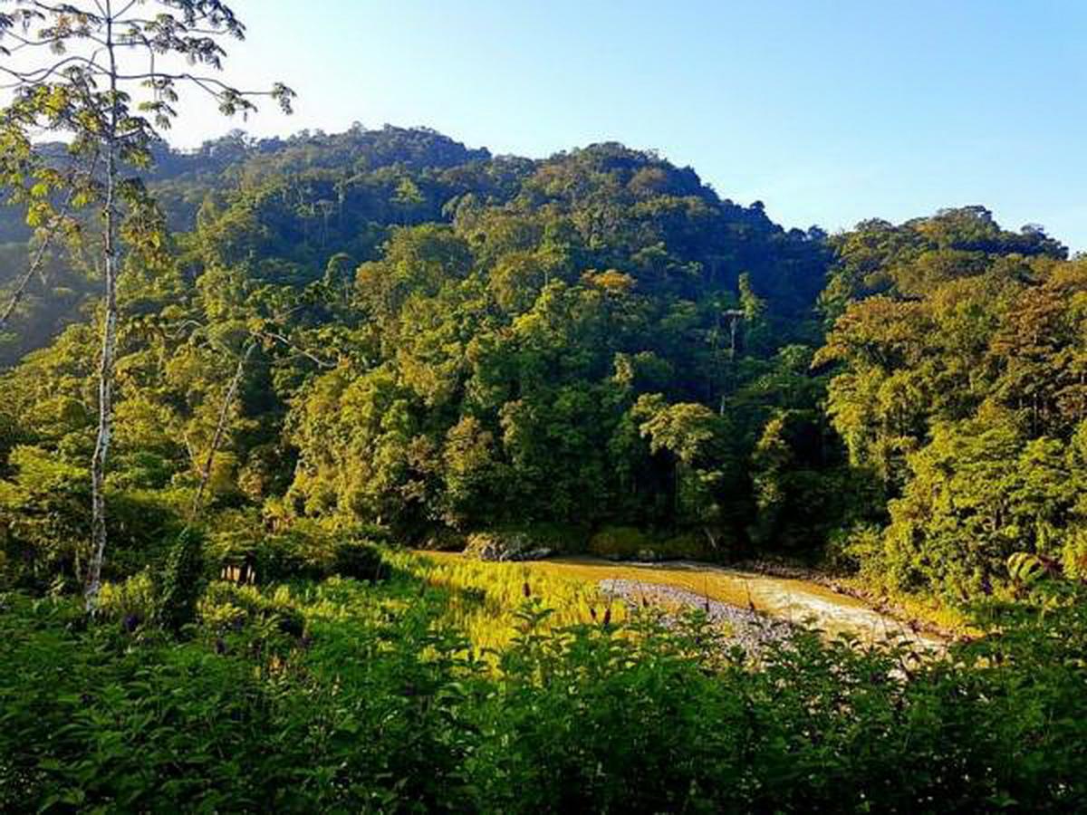 Pacuare River Lodge Bajo Tigre Ngoại thất bức ảnh