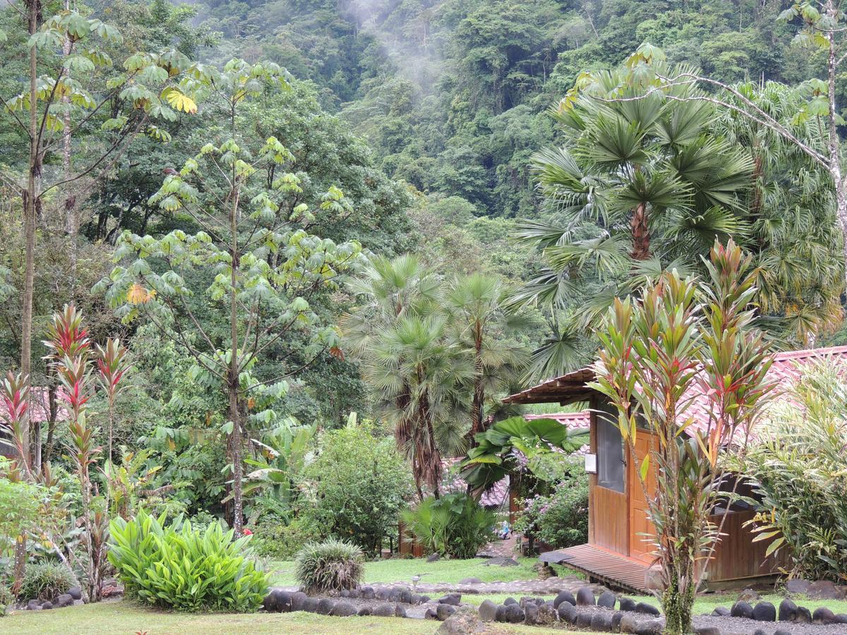 Pacuare River Lodge Bajo Tigre Ngoại thất bức ảnh