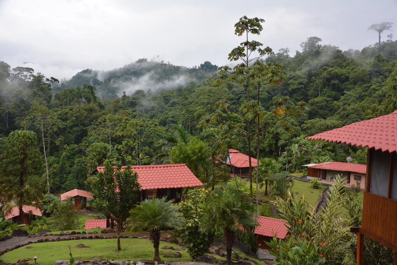 Pacuare River Lodge Bajo Tigre Ngoại thất bức ảnh