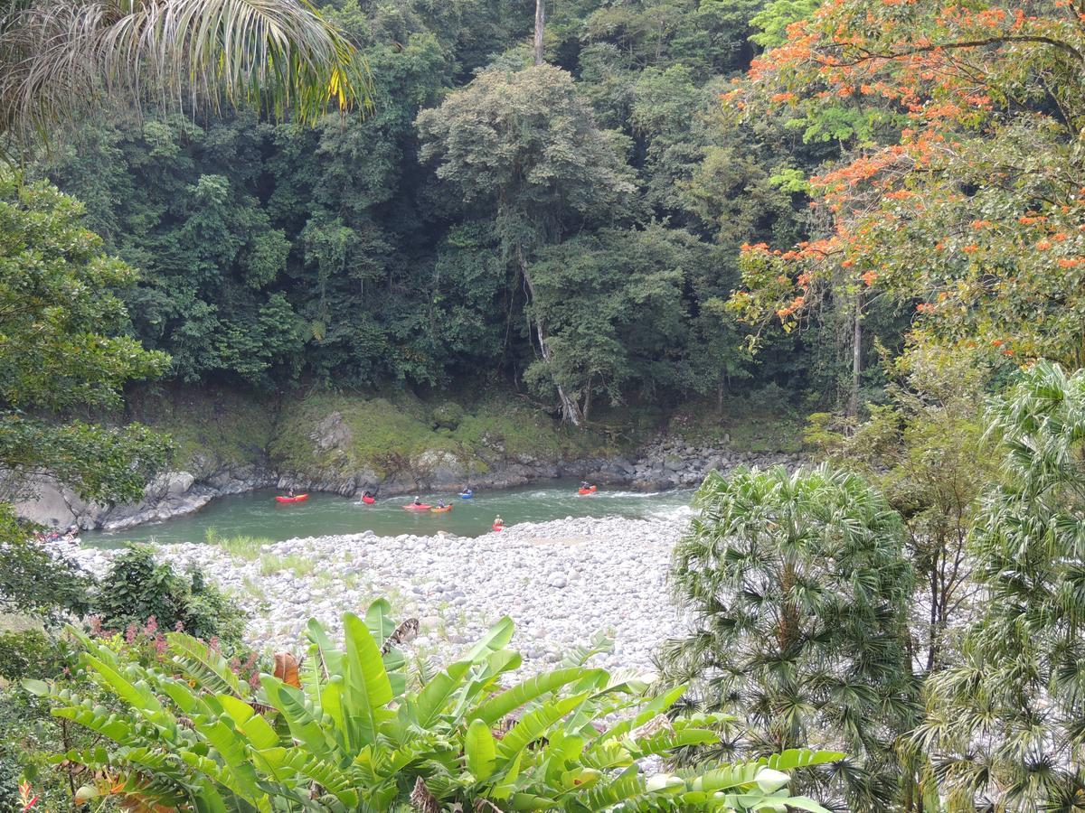 Pacuare River Lodge Bajo Tigre Ngoại thất bức ảnh