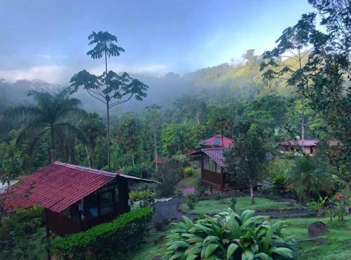 Pacuare River Lodge Bajo Tigre Ngoại thất bức ảnh