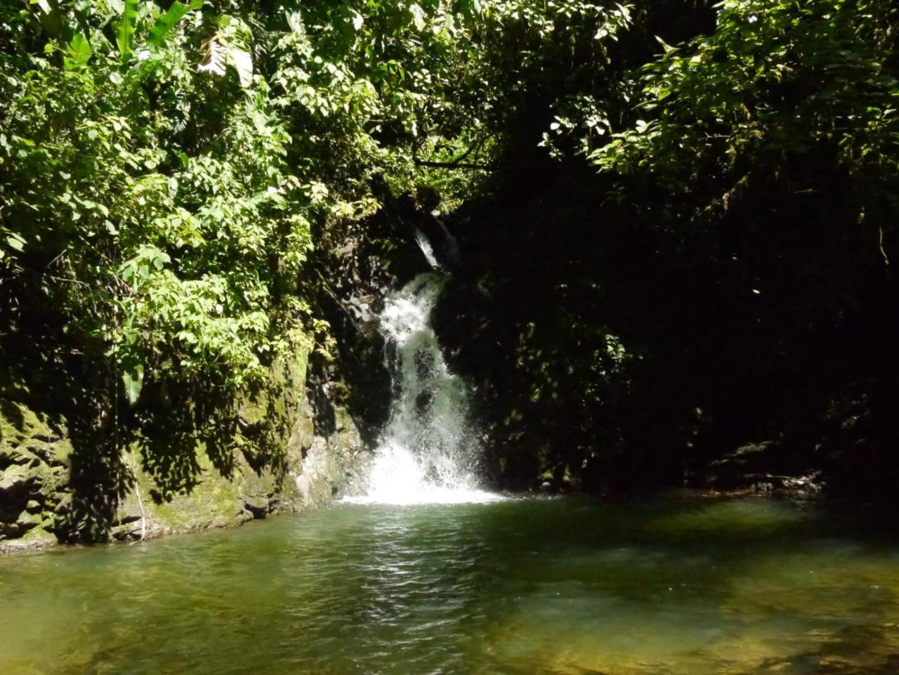 Pacuare River Lodge Bajo Tigre Ngoại thất bức ảnh